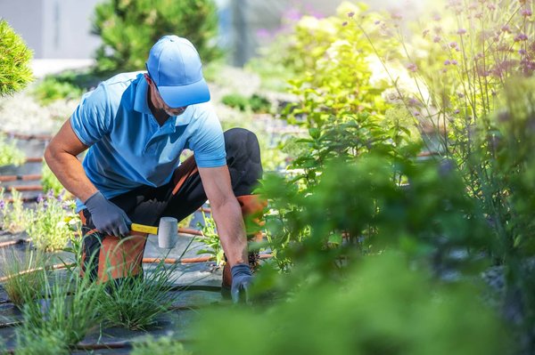 Top Business Trends You Need to Know About